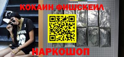 крисы Кингисепп