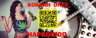 крисы Кингисепп