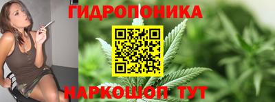 стафф Кинель