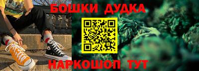 крисы Кингисепп
