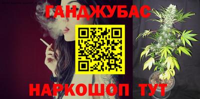 крисы Кингисепп