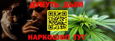 крисы Кингисепп