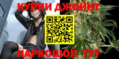 крисы Кингисепп