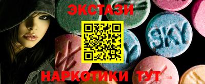 крисы Кингисепп