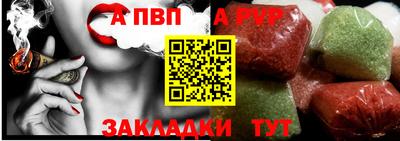 крисы Кингисепп
