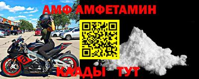 крисы Кингисепп