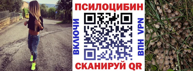 наркота  даркнет состав  Галлюциногенные грибы GOLDEN TEACHER  Прокопьевск 