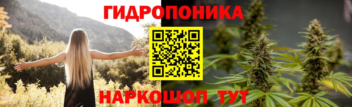Конопля планчик  Конопля ГИДРОПОН  Марихуана индика  Прокопьевск  Вход с VPN  МАРИХУАНА план 